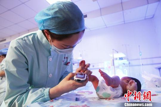 醫院新生兒科，護士正在給一名新生嬰兒采集足跟血。　陳東 攝